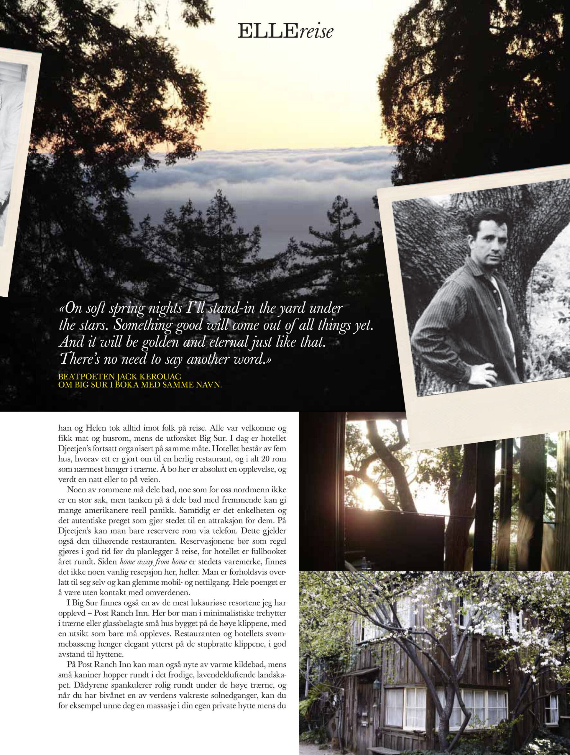Tonje Kristiansen Reise Big Sur 4